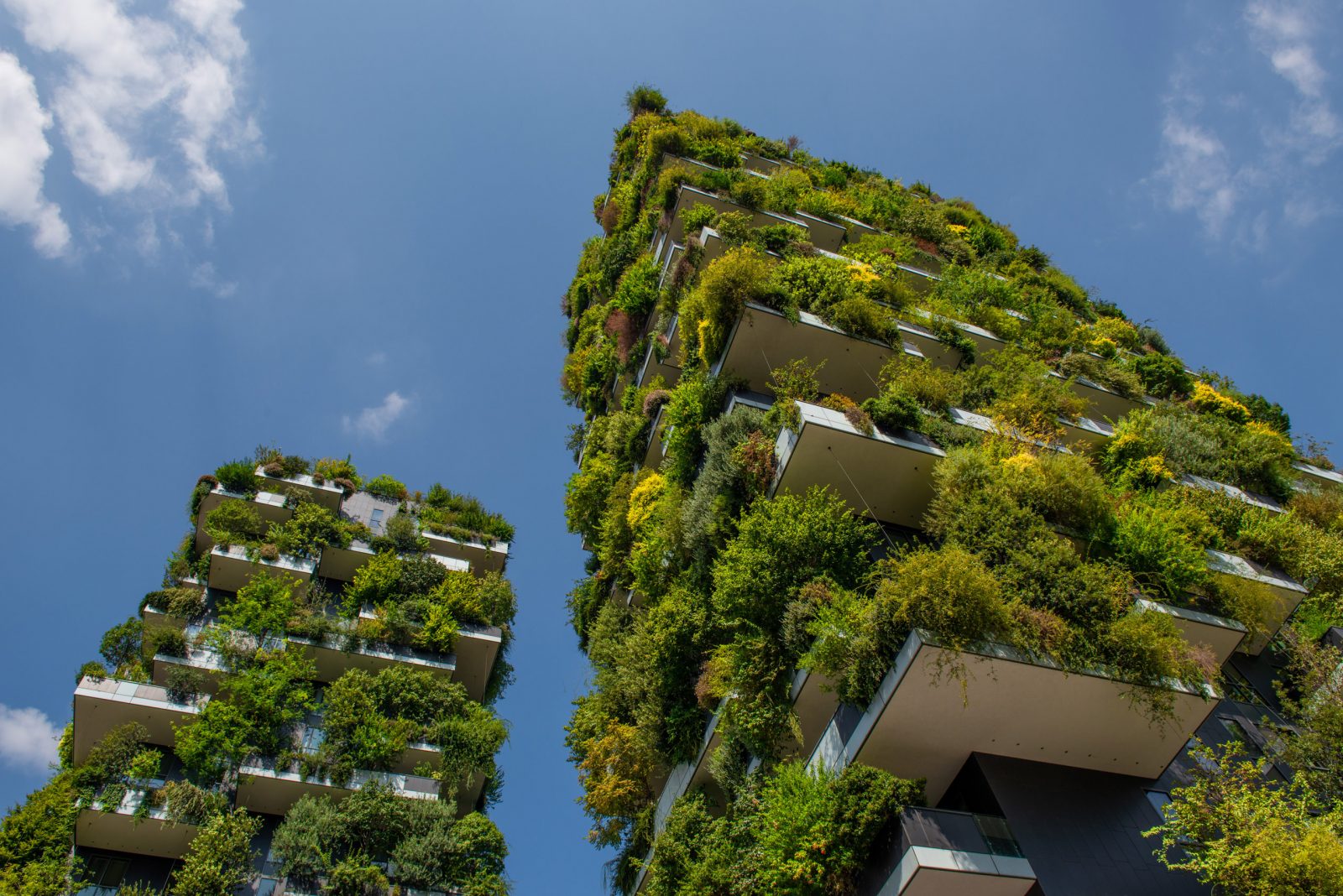 Image showcasing Urban Biodiversity Solutions - ENVI-met